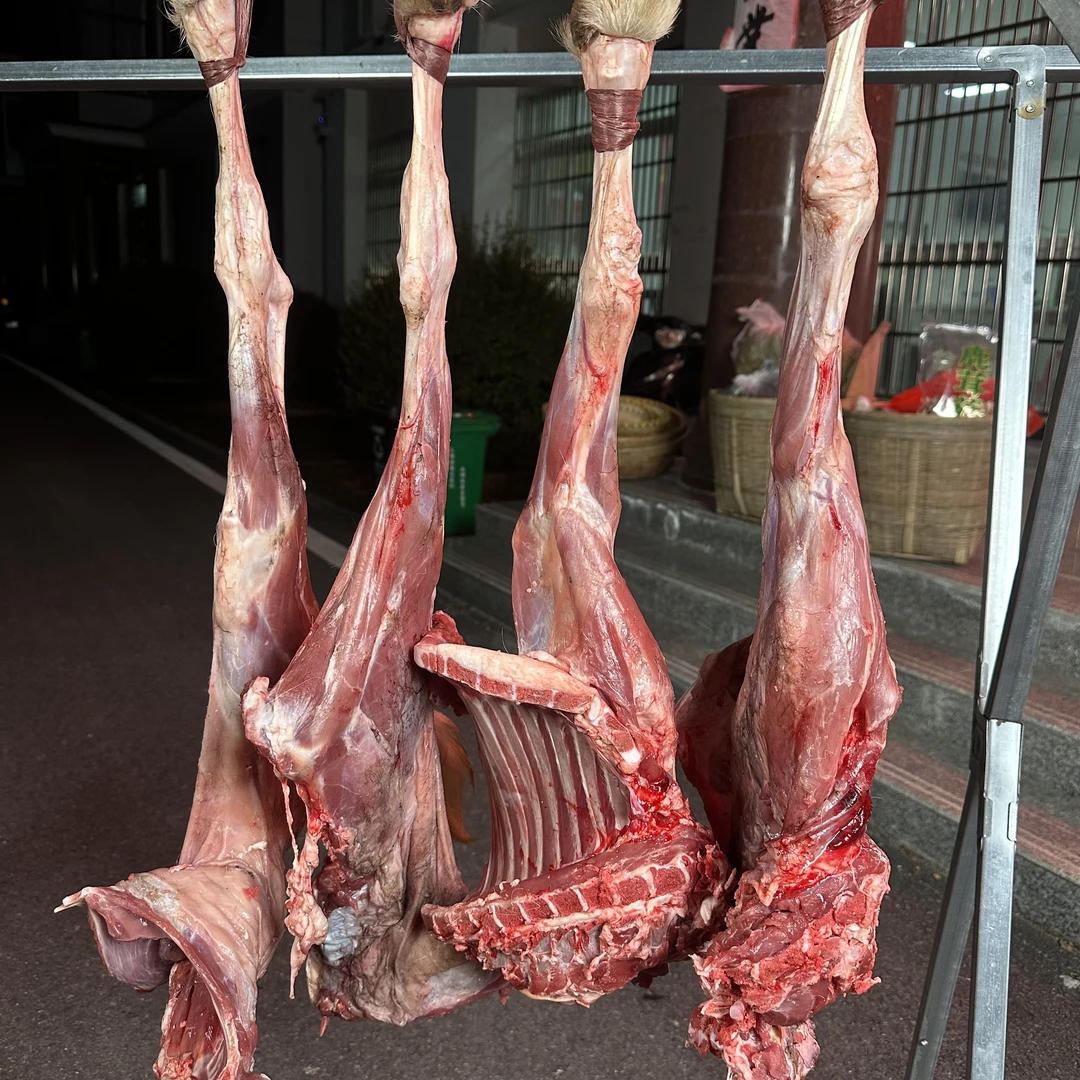 农家自养山羊，不吃饲料正宗农家跑山羊