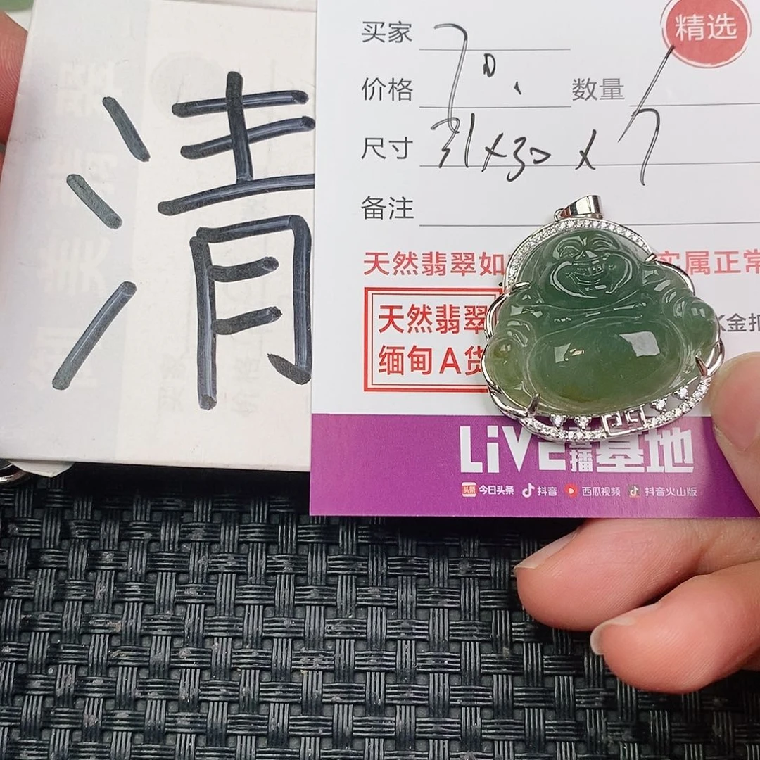 翡翠银S925镶嵌颈饰繁**素