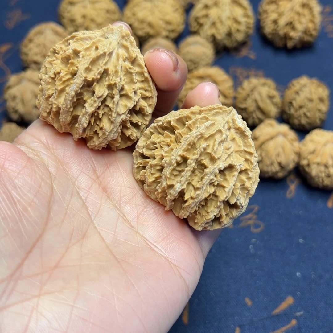 文玩核桃把件秦岭野生植物核桃