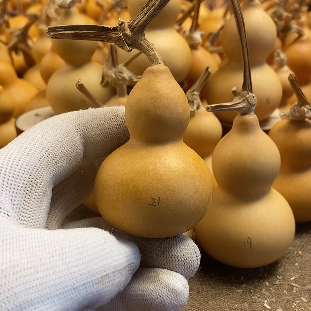 文玩葫芦 完美主义者 慎拍21