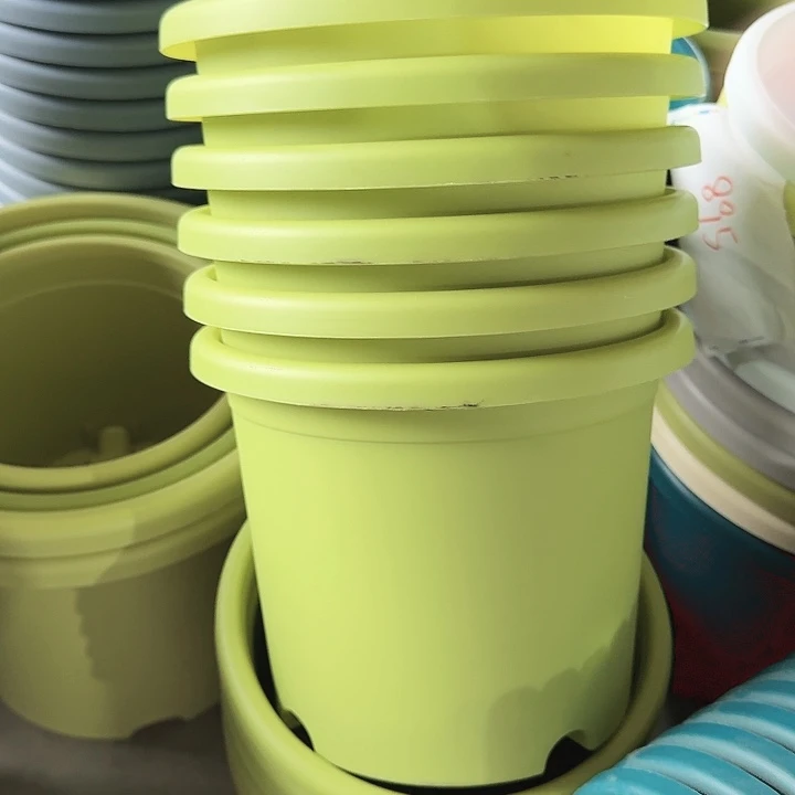 瑕疵3#口径21果绿10个无托