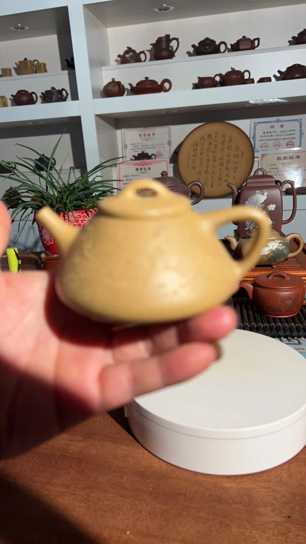 150 CC黄金段子冶石瓢