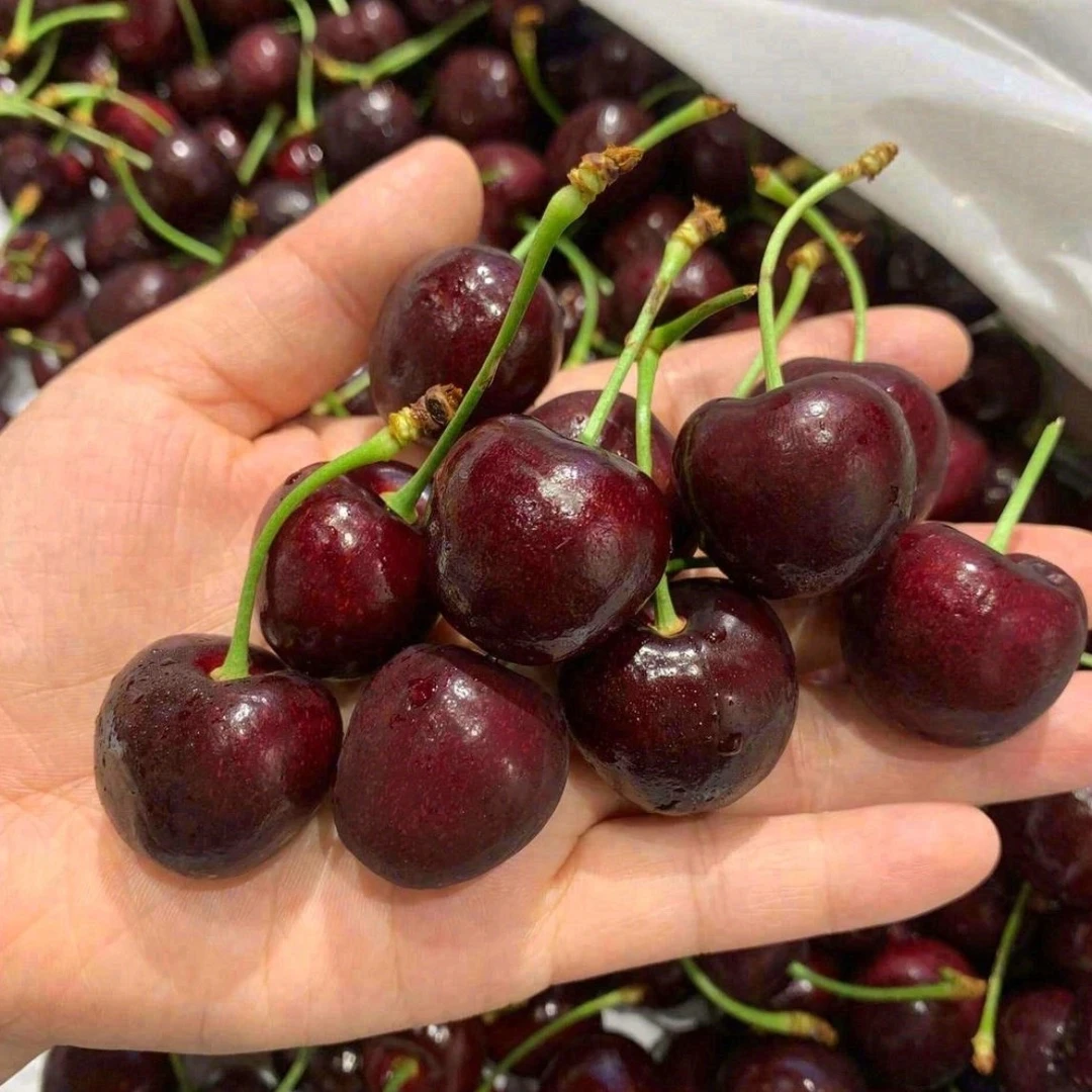进口车厘子2JD/3JD/4JD应季斤装礼盒