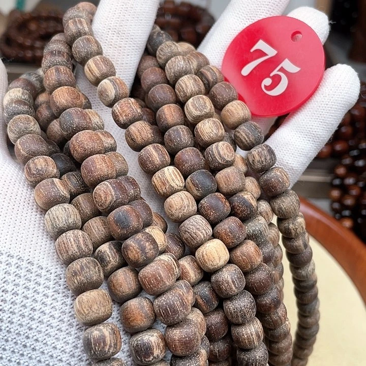 贡木其他多样性发其一89