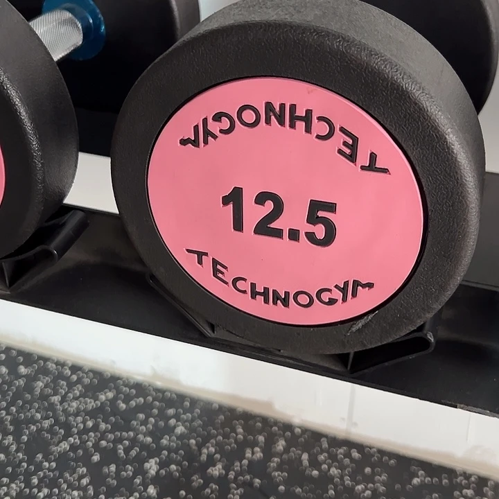 全新纯钢泰诺哑铃12.5公斤一对粉色