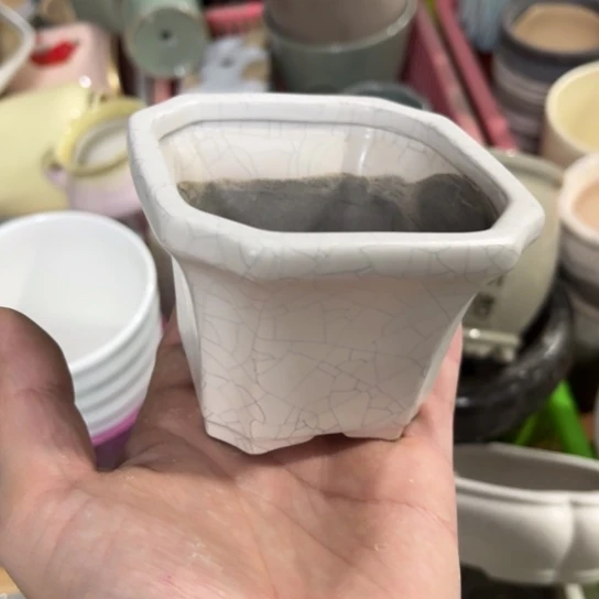 ［所有订单凑满15明天发］8×7