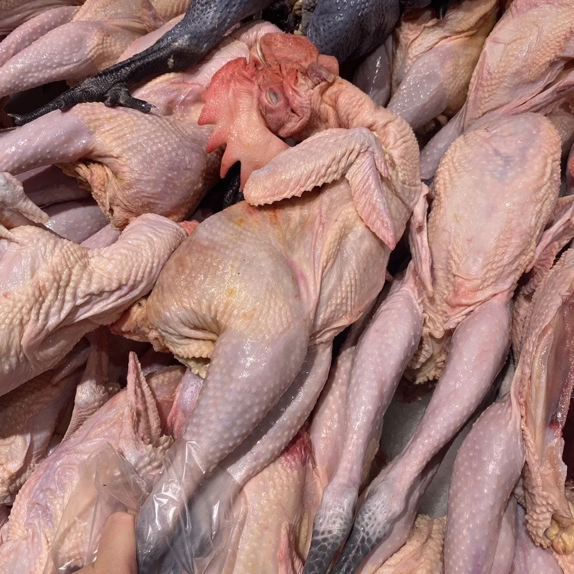 【现称】秾稼鲜土公鸡1只（备注可剁块）