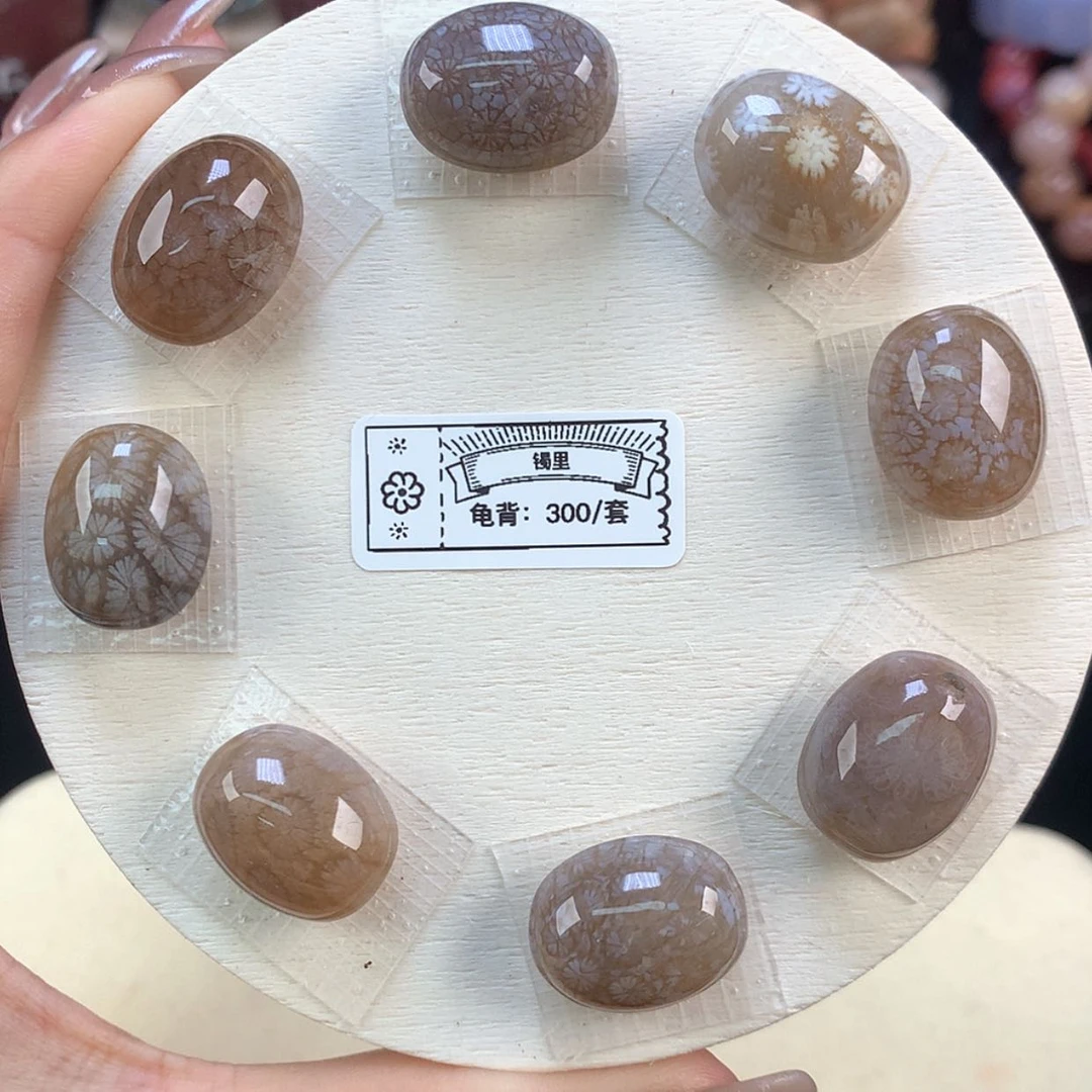 【闪购商品】颈饰未镶嵌硅化珊瑚（珊瑚玉）上新龟背套装（61号）