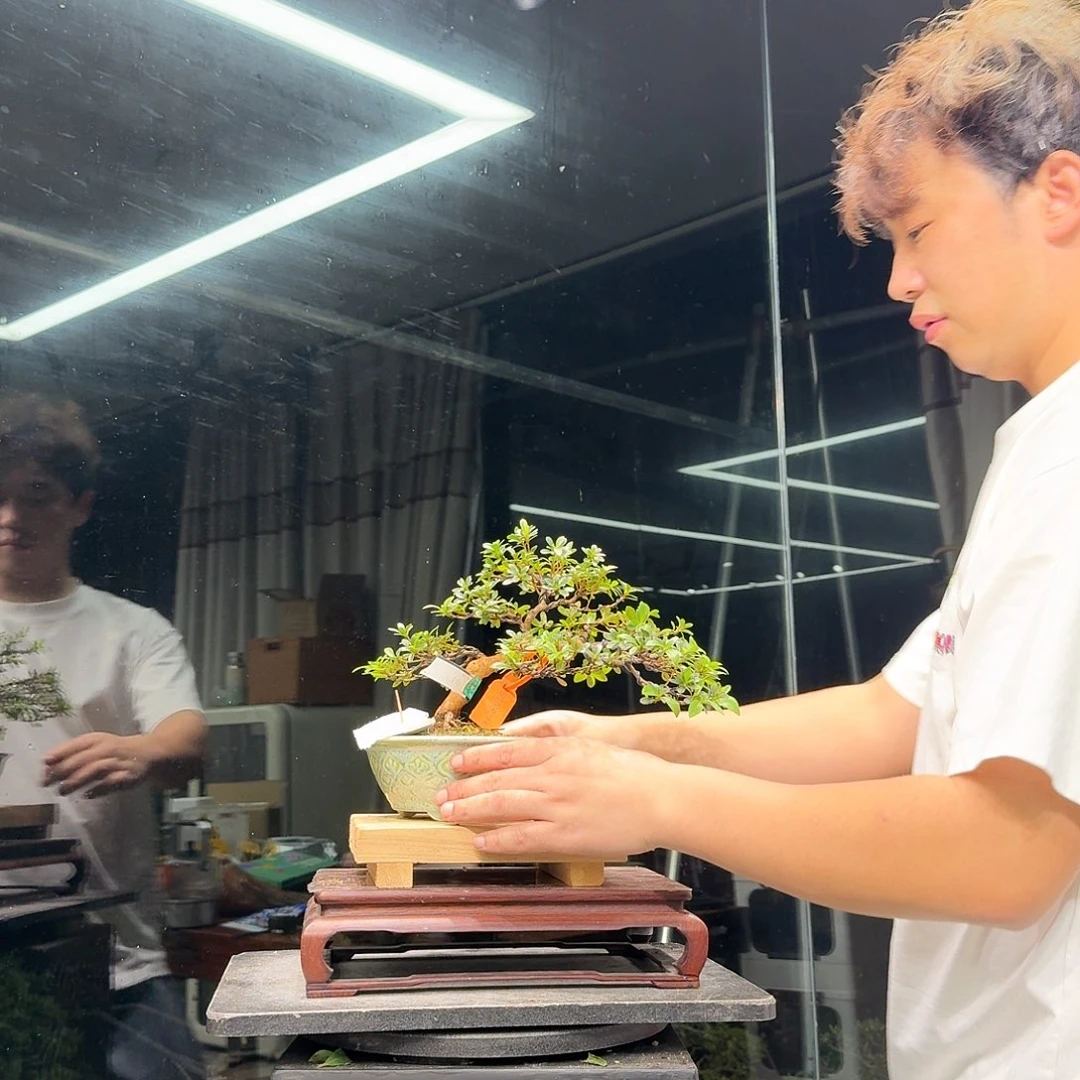 小***盈无花朵花卉等作物为主255