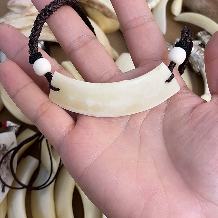 【孤品】猪牙獠牙脖挂件玉化牙齿