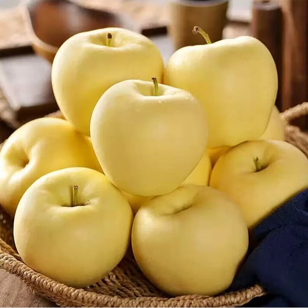 2025新果山东烟台正宗黄金奶油富士苹果脆甜多汁当季产地直发G