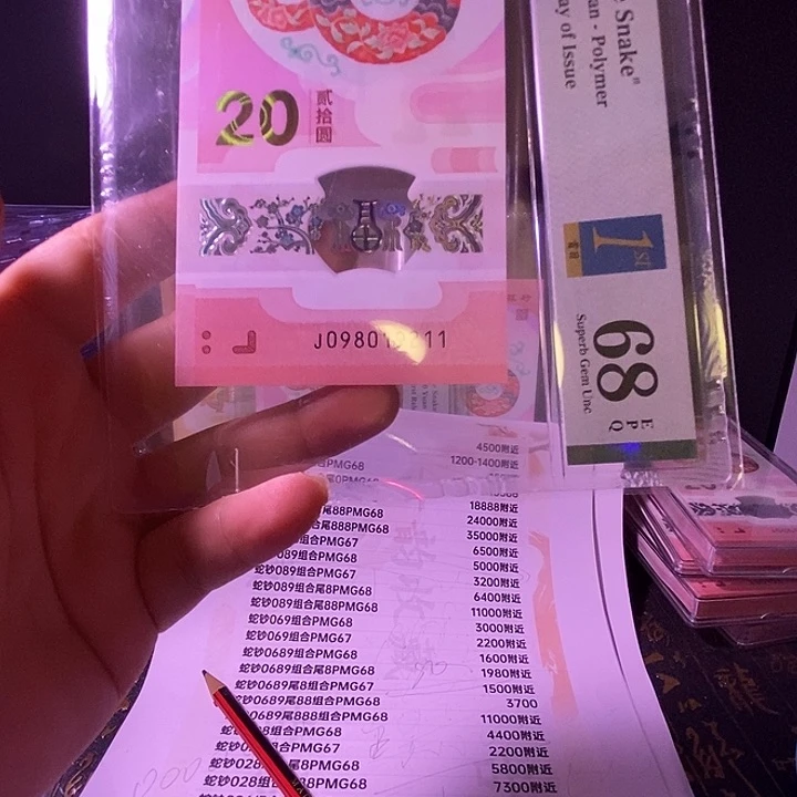 塑料蛇钞朦胧098019211pmg68