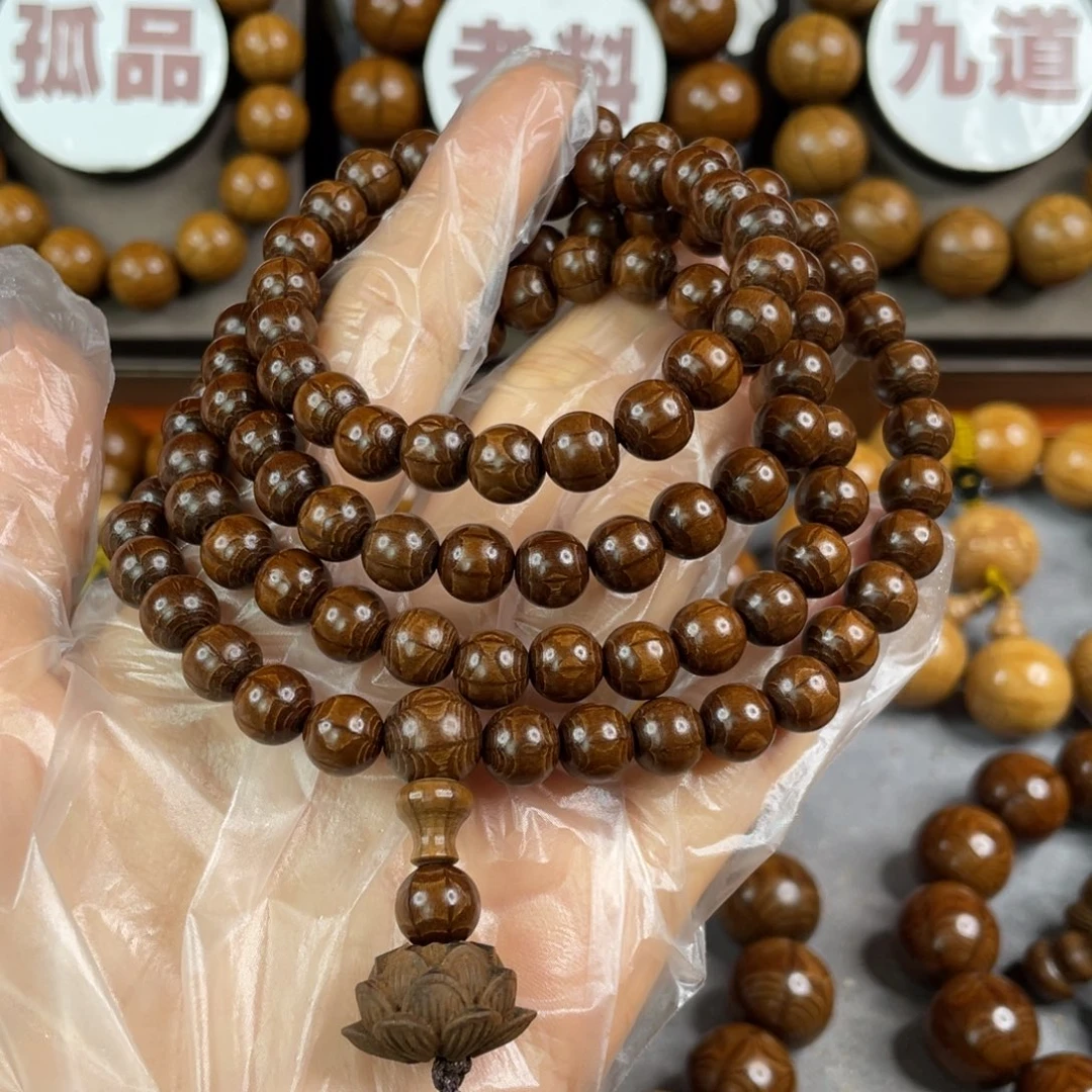 六道木@**多枯树， 毕业0.8