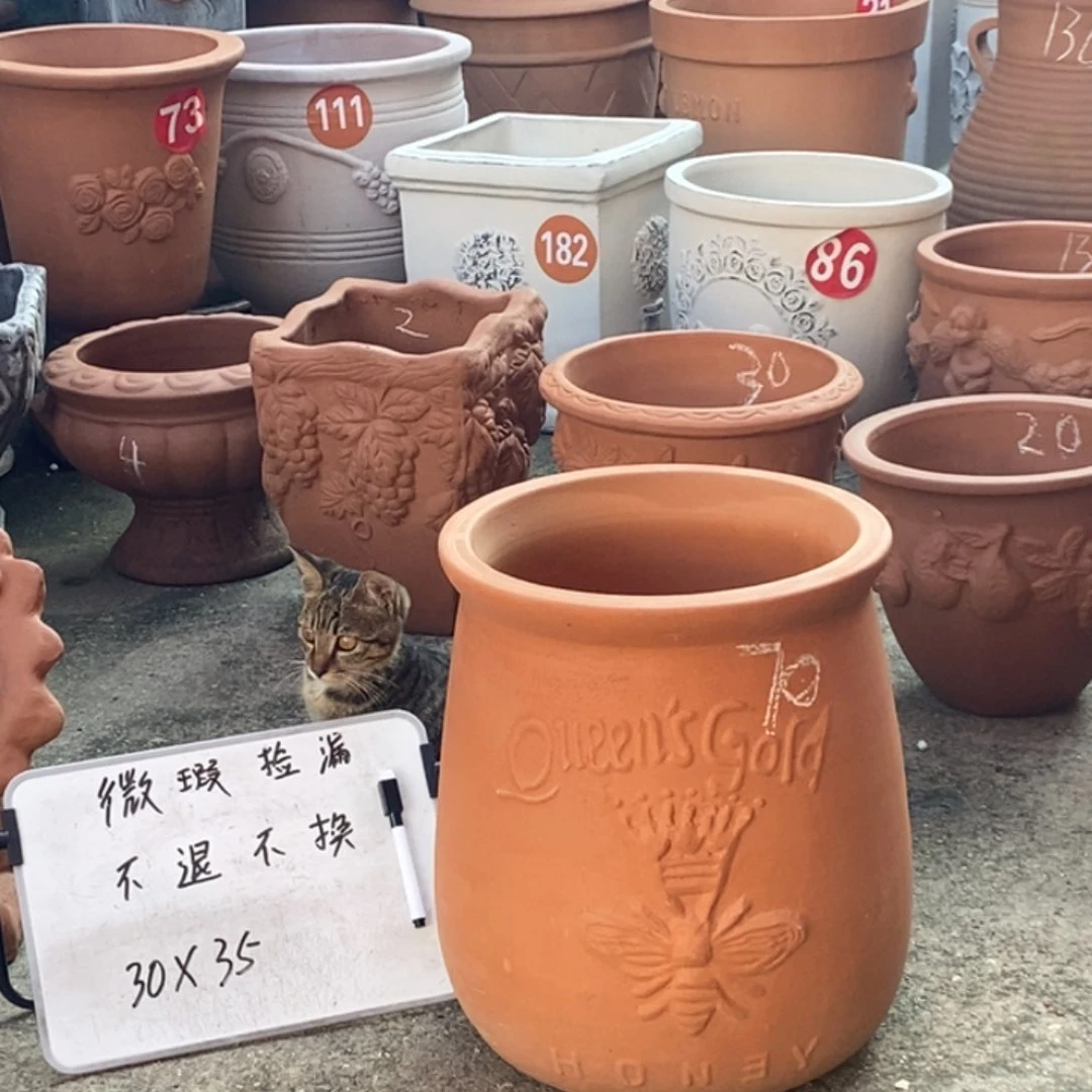 微瑕处理捡漏一个