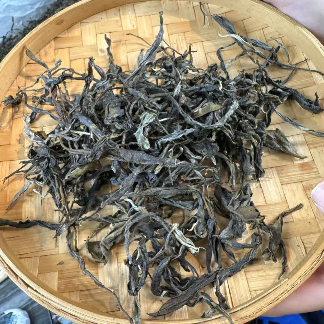 【小刚家的茶】2025年冰岛老寨79号二类古树 生散（晒青毛茶）