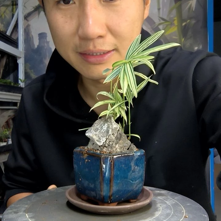 D****仔中青园艺一物一拍93