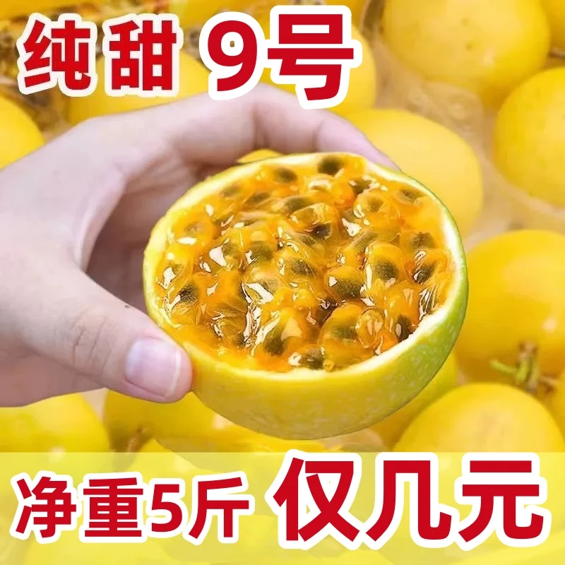 新人推荐30枚更划算/广西钦蜜9号黄金百香果新鲜水果当季整箱批发