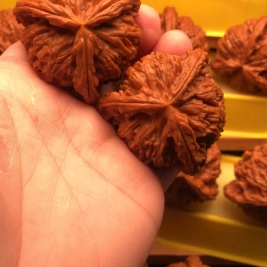 用***1核桃核桃核桃核桃咯