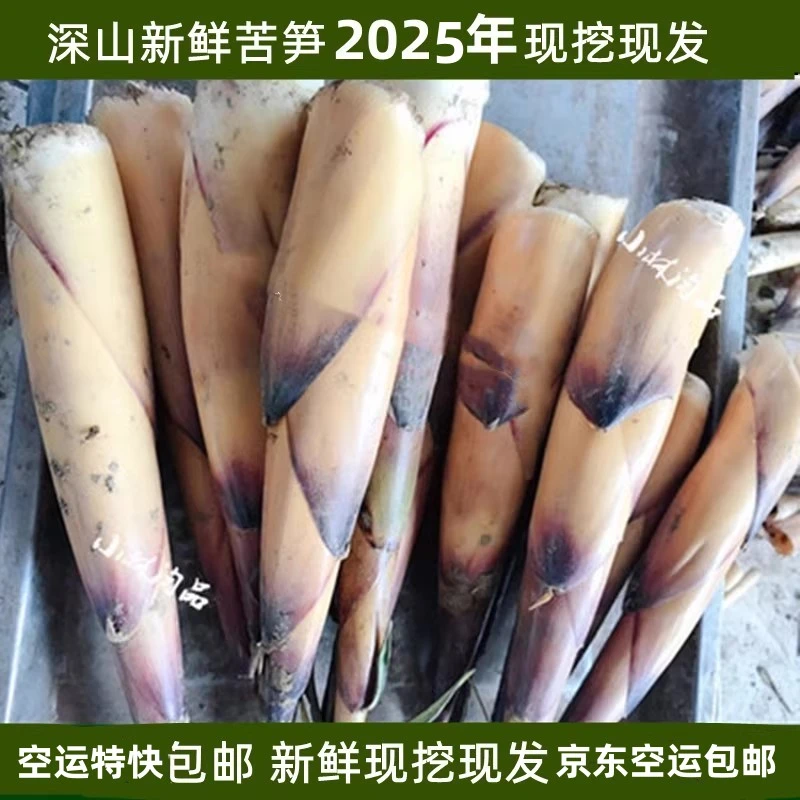 新鲜苦笋农家深山现挖现发四川乐山犍为沐川苦竹笋5斤装京东空运