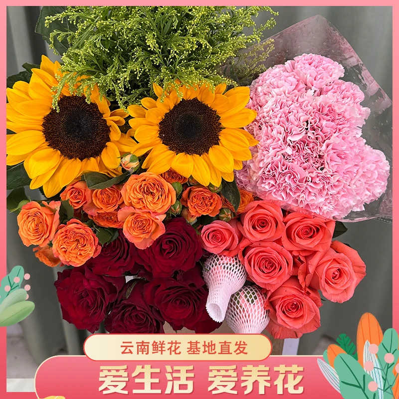 【红粉玫瑰康乃馨鲜花组合】云南直发玫瑰鲜花 家庭水养鲜花