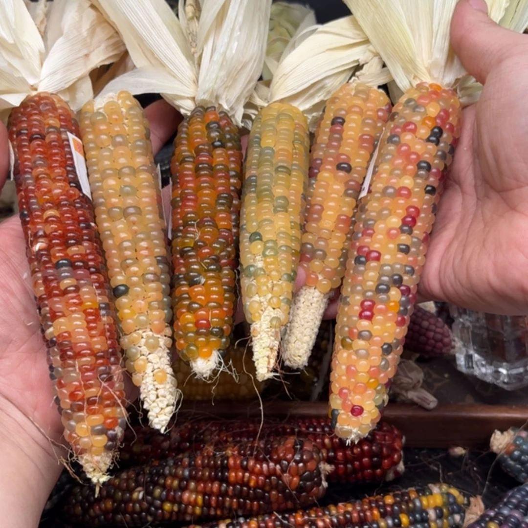 柏香籽/百香籽吊坠丫*～