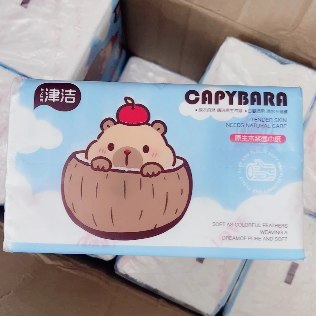 卡皮巴拉20包6层加厚可湿水
