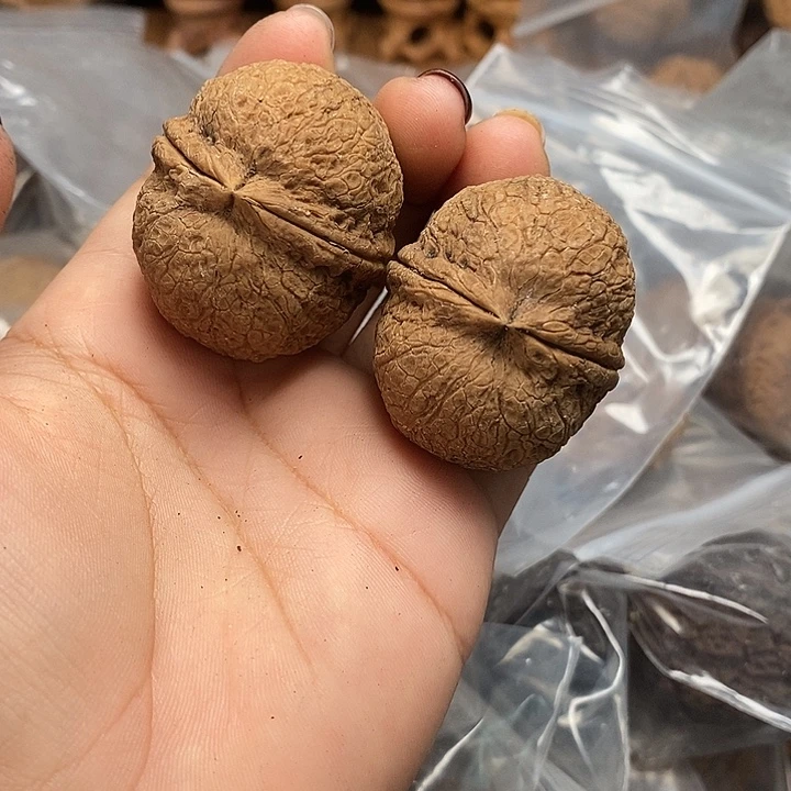 文玩核桃把件云南文玩核桃35h