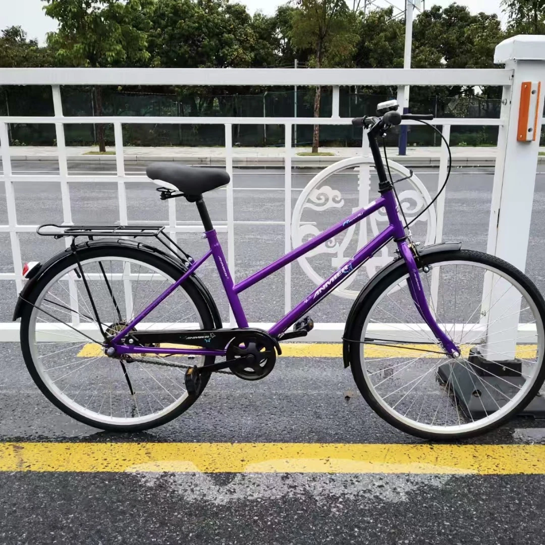 钢架优质成人学生自行车