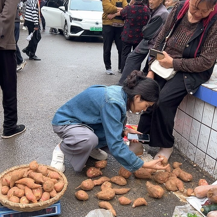 中国大陆农家紫勺2