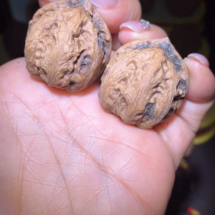 文玩核桃把件东北野生楸子小美0 9