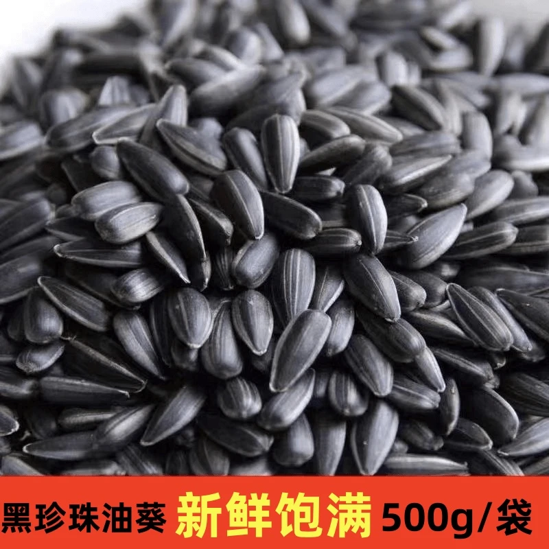 三龙源内蒙古草原小瓜子黑珍珠油葵原味奶香味五香炒熟葵花籽零食