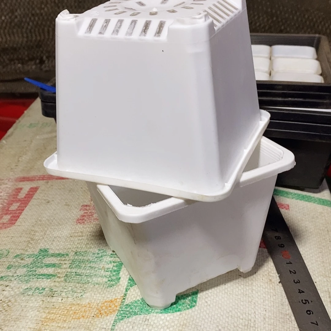 塑料新14公分白方盆 15个