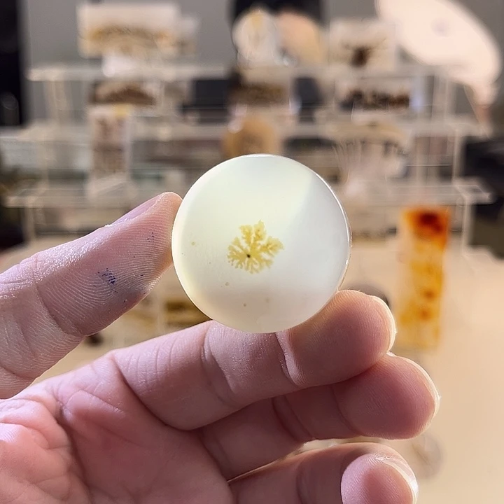 未镶嵌吊坠(不含链)玛瑙/玉髓