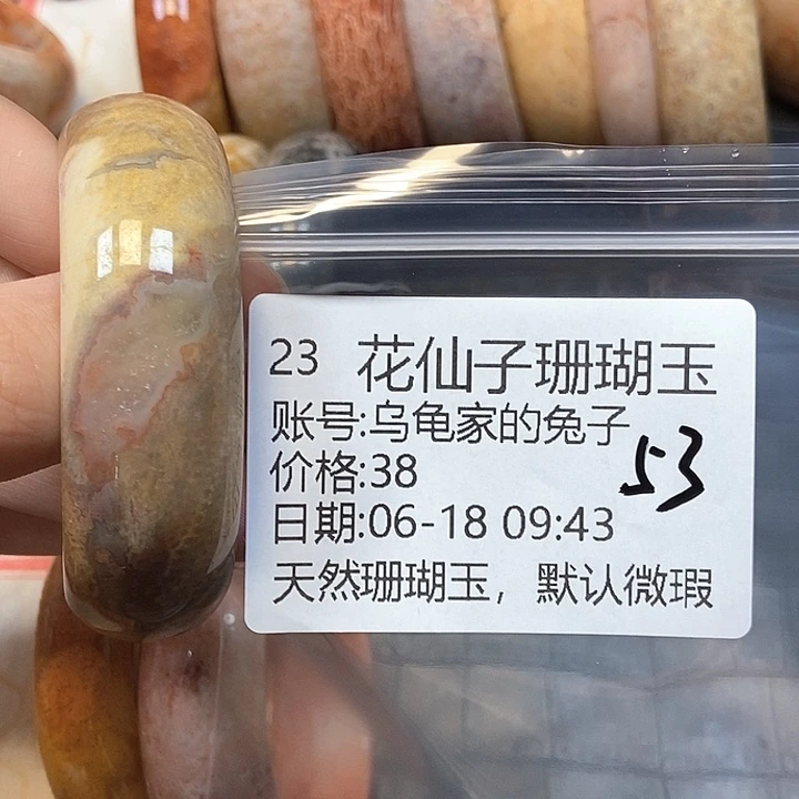 硅化珊瑚（珊瑚玉）珊瑚玉合金乌****子23