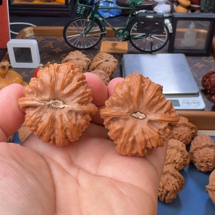 文玩核桃把件平谷聚宝盆