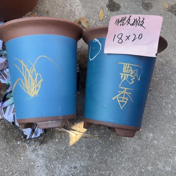 花盆紫砂特价商品