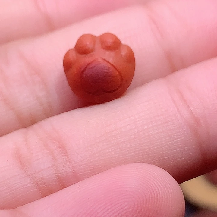 南红玛瑙未镶嵌南红猫爪