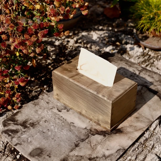 rongyi/蓉艺金丝楠阴沉木原木款纸巾盒22*12*10cm多样性发其一