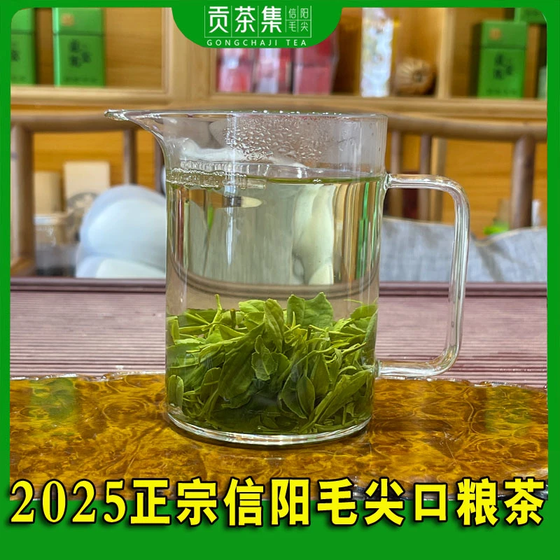 2025年新茶雨前信阳毛尖绿茶茶叶袋装装口粮茶