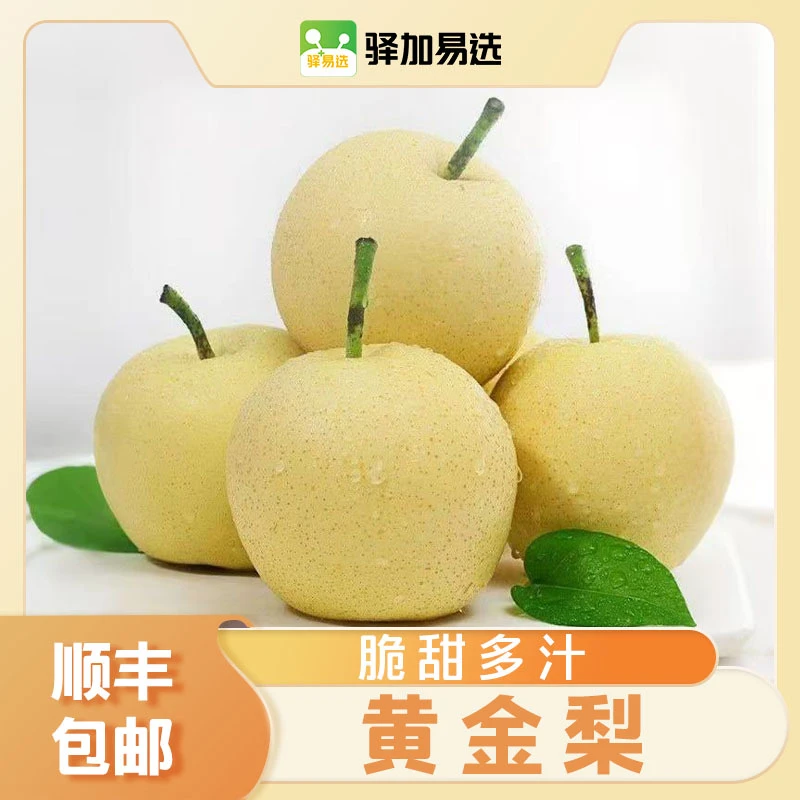 【博望黄金梨】新鲜当季水果脆甜多汁产地现摘现发，顺丰包邮HNLG