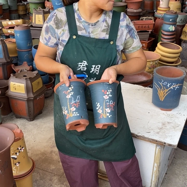 紫砂花盆盆栽花卉