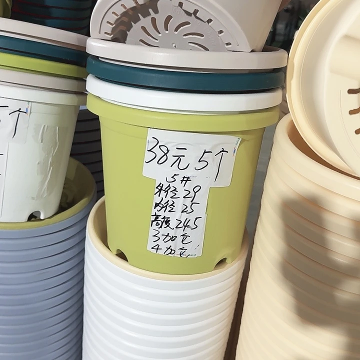 四季5#口径29果绿5个无托