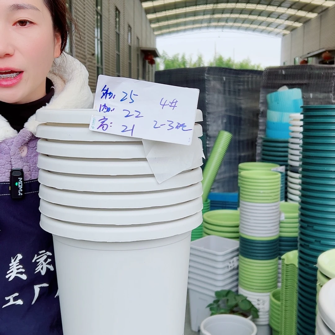 四季盆4#灰白8个无托