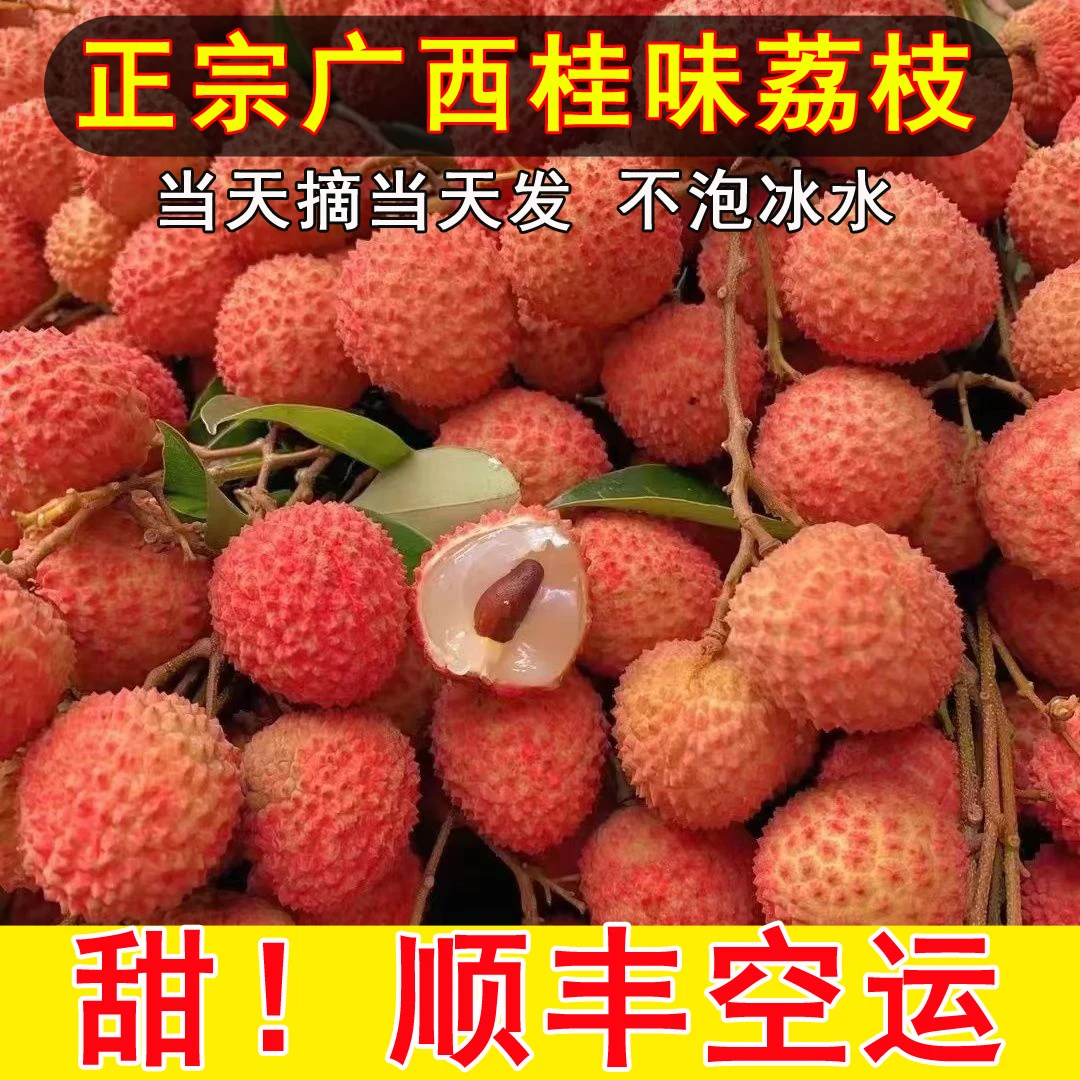 [顺丰空运]【桂味荔枝】净重4-7斤正品广西麻垌勒荔老树果偏远地区