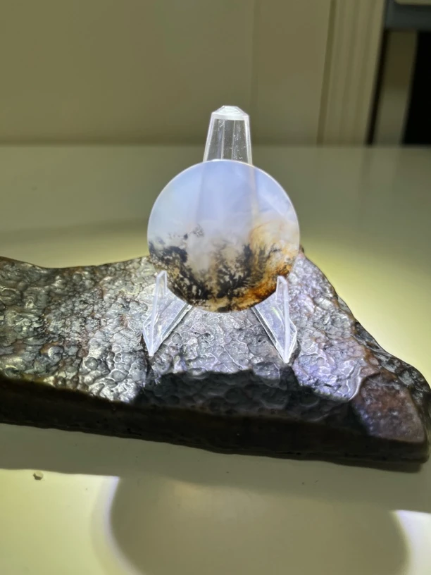 海洋玉髓景观花花