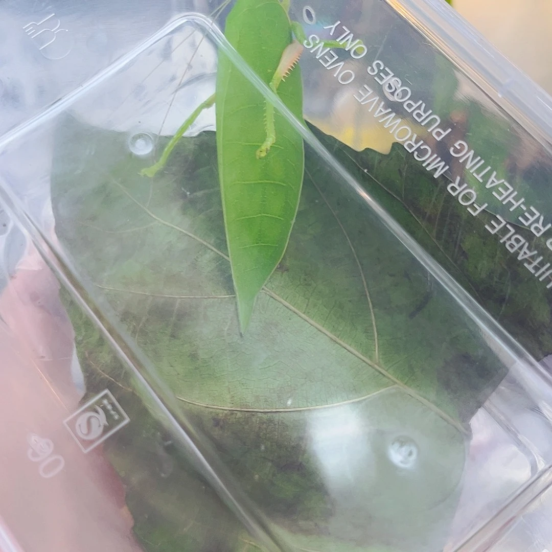 用***4拍拍拍拍拍拍拍拍拍
