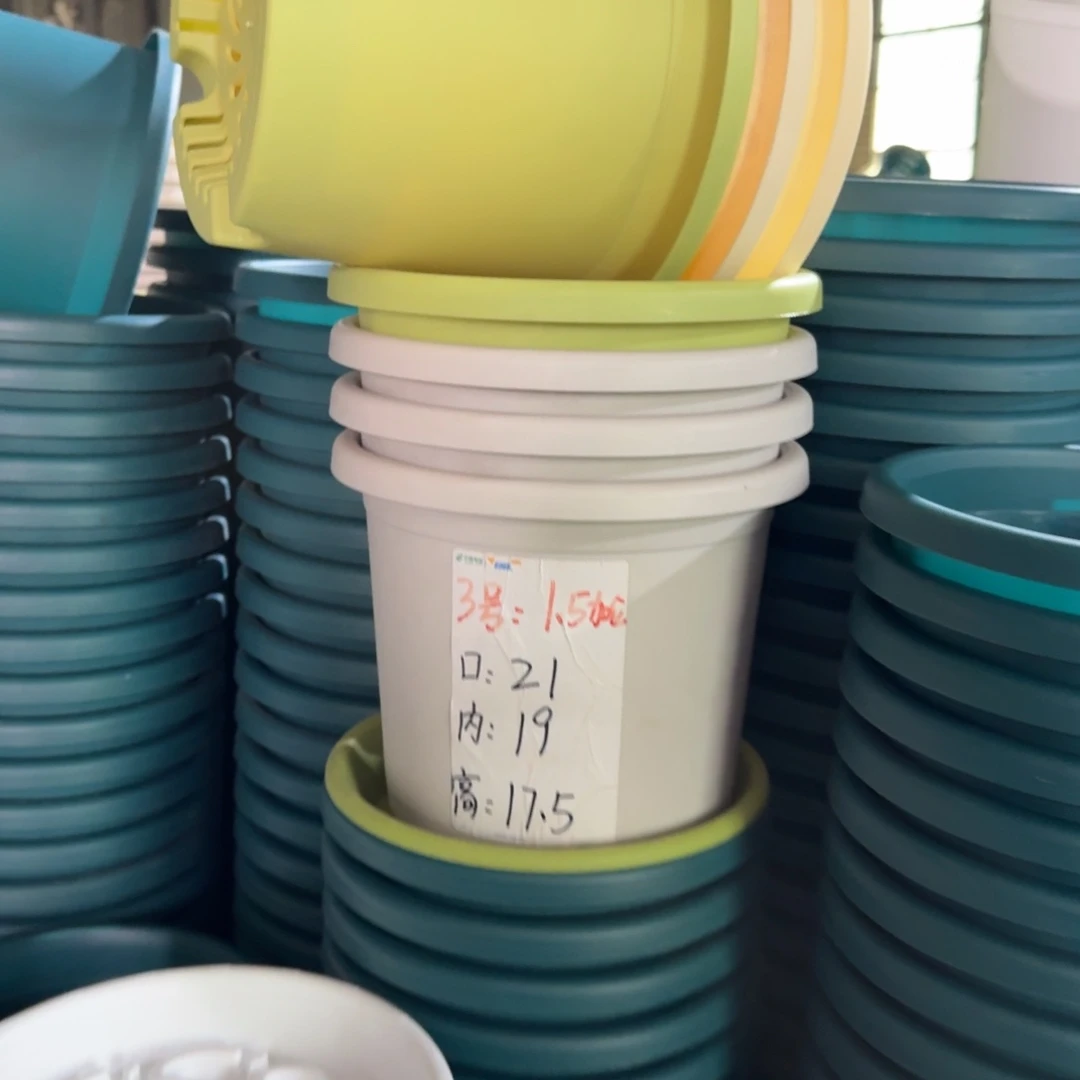 四季3#口径21无拖果绿10个