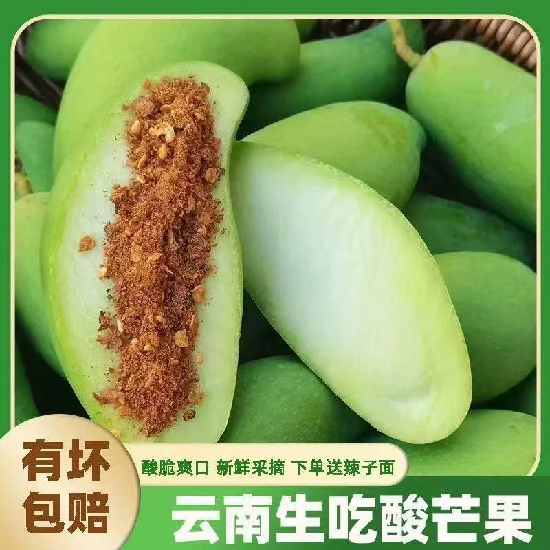 正宗云南生吃老品种酸脆青芒果新鲜水果生吃开胃孕妇特产应季包邮