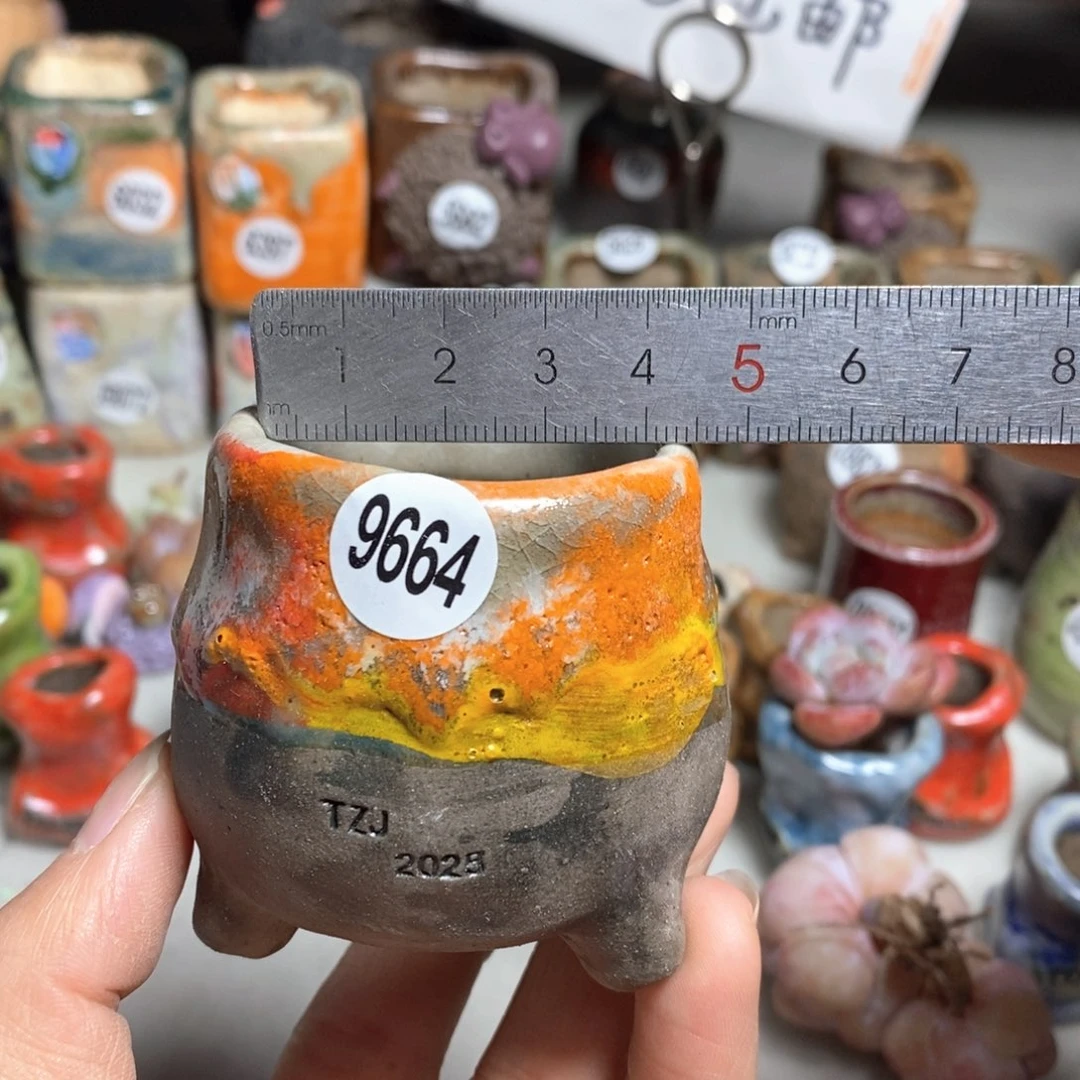 特价花盆不退不换的，原价28元一个的