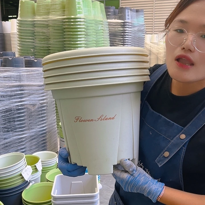 青山盆6#米白色5个无托